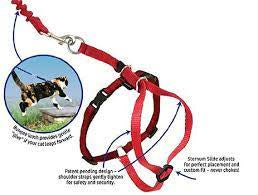 Petsafe come with me kitty red large