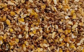 Scratch feed 18.1kg