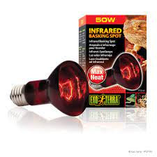 Infrared basking light 50W