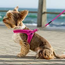 Utility harness-Fast fit-pink XXsm