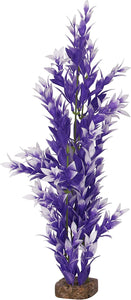 Glofish medium plant purple/ white