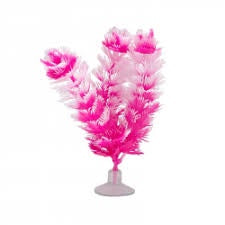 Marina Betta foxtail pink