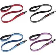 Halti lead large bleu
