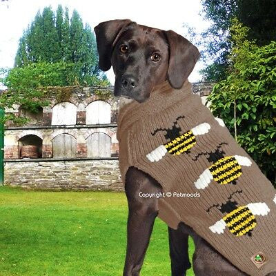 Bumble bee sweater 3XLg