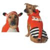 Orange Foxy sweater Large