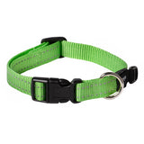 Classic collar Xsmall Lime