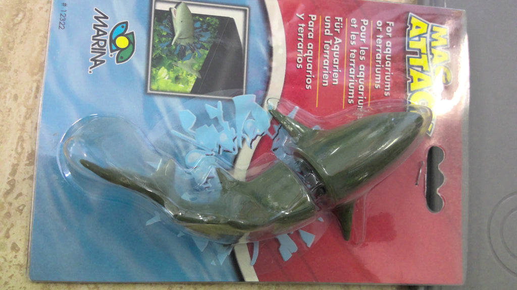 Marina mag attack shark
