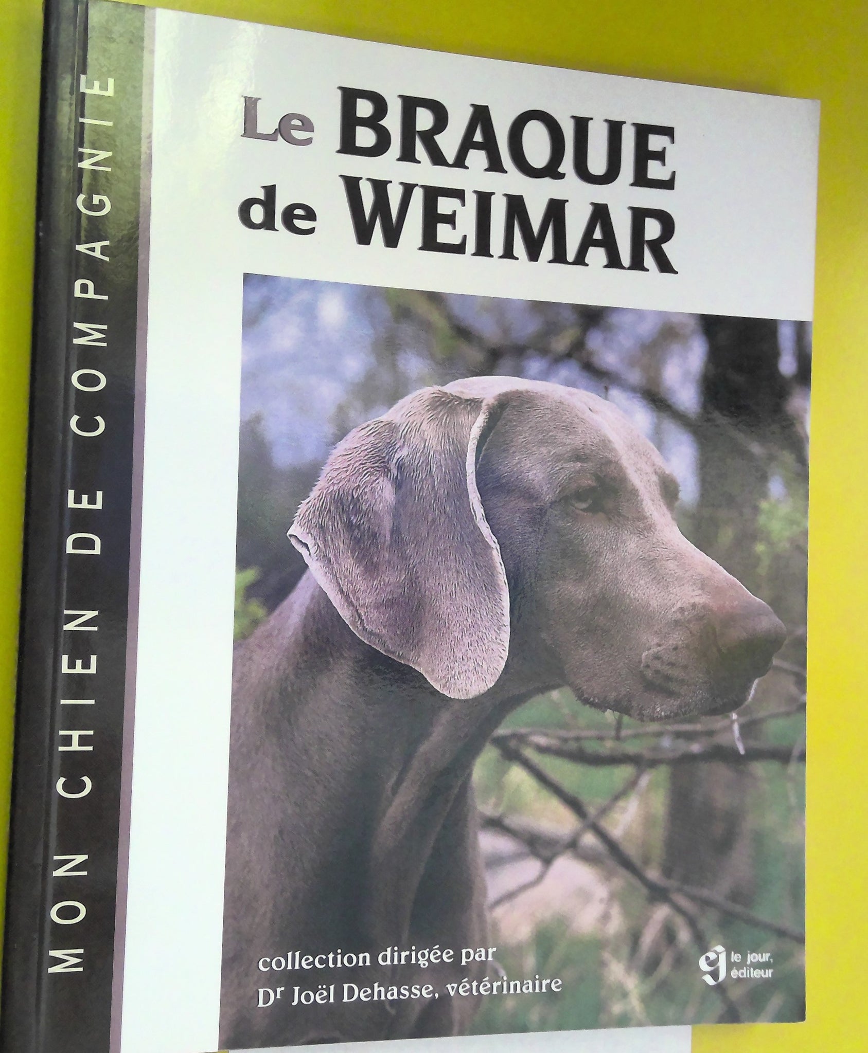 Le Braque de Weimar