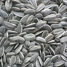 Sunflower striped 50lb