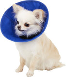 Kong EZ-soft collar small