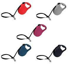 Kong retractable trail lead Large blue