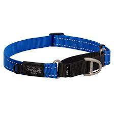 control collar medium blue