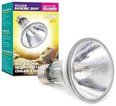 Komodo halogen spot 75W