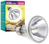 Komodo halogen spot 75W