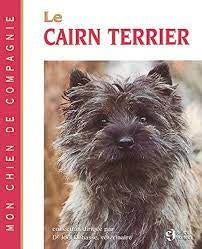 LE Cairn Terrier
