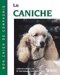 Le Caniche chien de compagnie