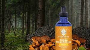 Chaga Mushrooms Tincture 125ml