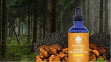 Chaga Mushrooms Tincture 125ml