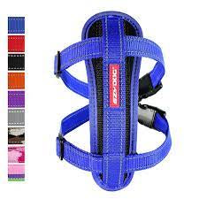 EZYdog chest plate harness bleu small