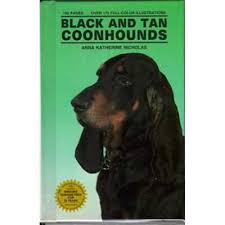 Black & tan Coonhounds