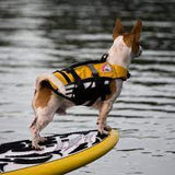 EZYdog life jacket yellow XXsmall