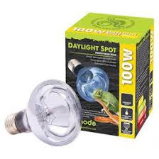 Komodo spot neodymium bulb 100W