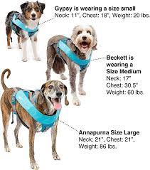Kurgo lonf hauled joring harness large