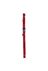 Medium nylon leash