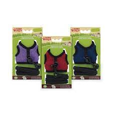 LW harness and lead set large