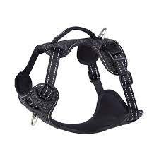 Explore harness large black