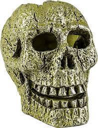 Glofish skull ornament