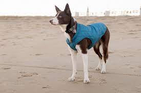 Kurgo loft reversable jacket blue/orange large
