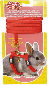 Lw dwarf rabbit harness set red