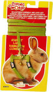 LW rabbit harness set red