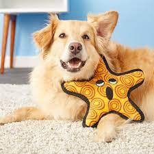 Tuffy OC starfish