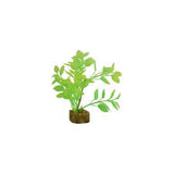 Glofish small plant green/yellow