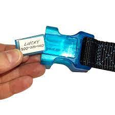 Sporn ID med collar blue med