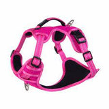 Explore harness medium pink