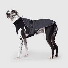 The expedition coat coat 36"