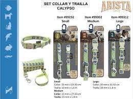 Arista collar and leash set large (calypso)
