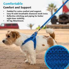 Utility harness-Fast fit-blue medium