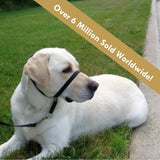 Gentle leader headcollar sm bl