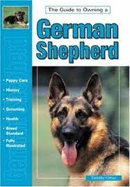 German Shepherd, the guide to owning a