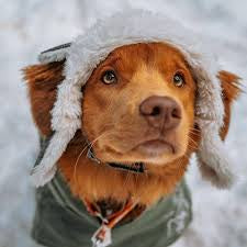 The Artic Air Hat grey small