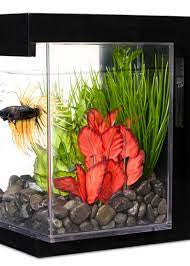 Marina EZ-care Betta Style
