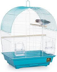 small bird cage
