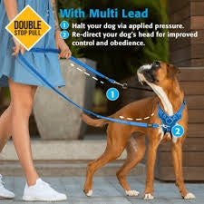 Utility multi lead small blue