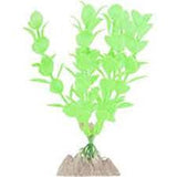 Glofish large plant green/yellow