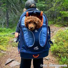 Kurgo Gtrain carrier backpack 25lb