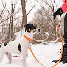 Nuvuq Leash tangerine